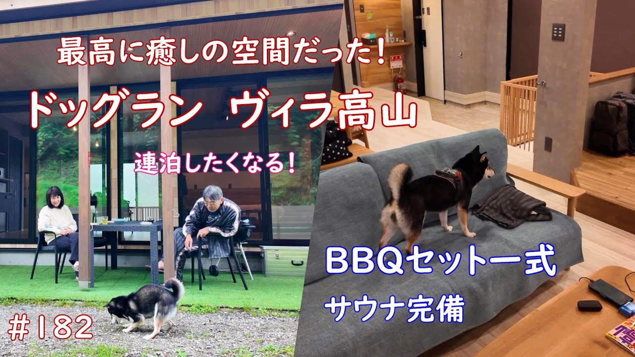 飛騨高山の宿で愛犬と最高のひと時を共有！＃ドッグランヴィラ高山＃飛騨高山ペット宿泊＃豆柴暮らし