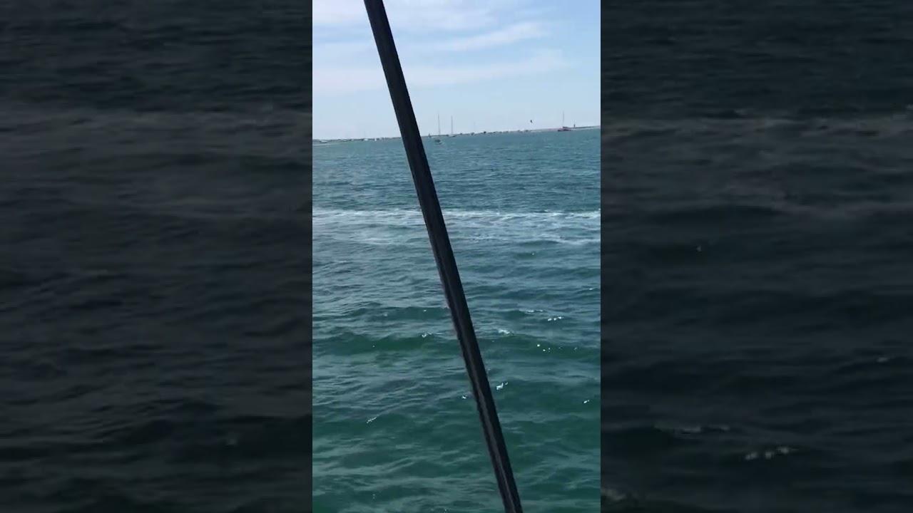 Catamaran Picardie. Grau-du-Roi. France. Катамаран Пикардия. Гро-дю-Руа. Франция