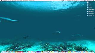 Dolphin Animated Wallpaper for Mac 4k Displays screenshot 3