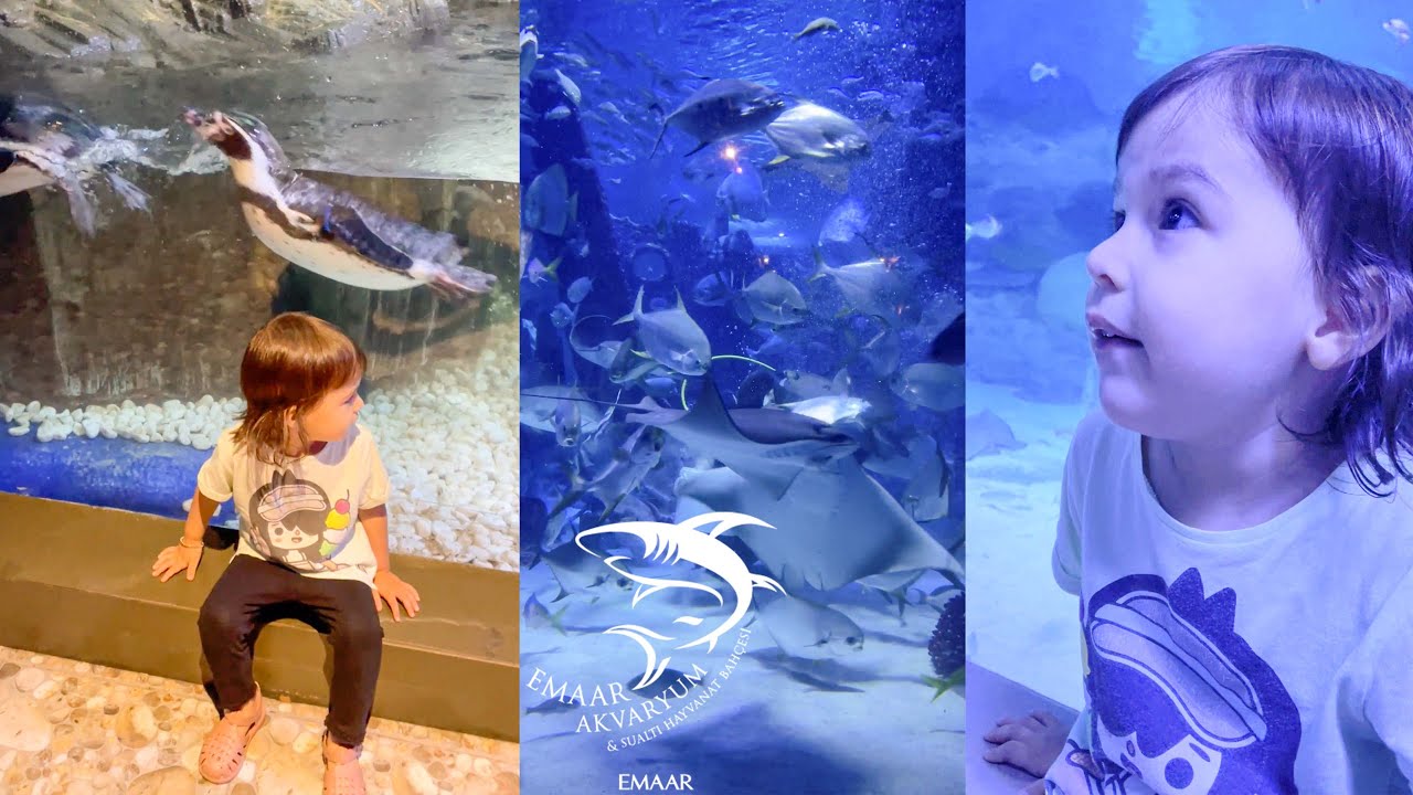 Nil Sare Emaar Akvaryum'da - Ağustos 2022 - Emaar Square Aquarium World - Akvaryum