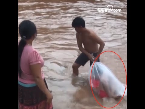 Students packed into plastic bags to go to school| CCTV English
