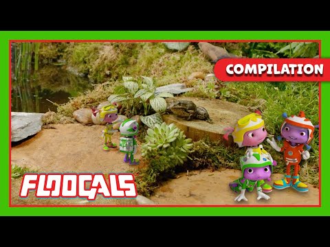 The Floogals Investigate Different ANIMALS! 🐸🐘 | Floogals | 20+ MINUTE Compilation