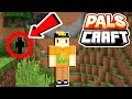 SKETCH HAS A STALKER| PalsCraft #5