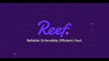 Streamline Your Workflow with the In-House Tooling of Reef Chain