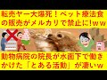 【超朗報】転売ヤーさん大爆死確定へ！ｗｗｗついにメルカリでペットの命に係わる「療法食」や「酸素缶」の販売が禁止へ！署名活動を行っていた動物病院の先生が水面下で行っていた「とある行動」が凄すぎるｗｗｗｗ