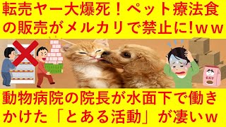 超朗報 転売ヤーさん大爆死確定へ ｗｗｗついにメルカリでペットの命に係わる 療法食 や 酸素缶 の販売が禁止へ 署名活動を行っていた動物病院の先生が水面下で行っていた とある行動 が凄すぎるｗｗｗｗ