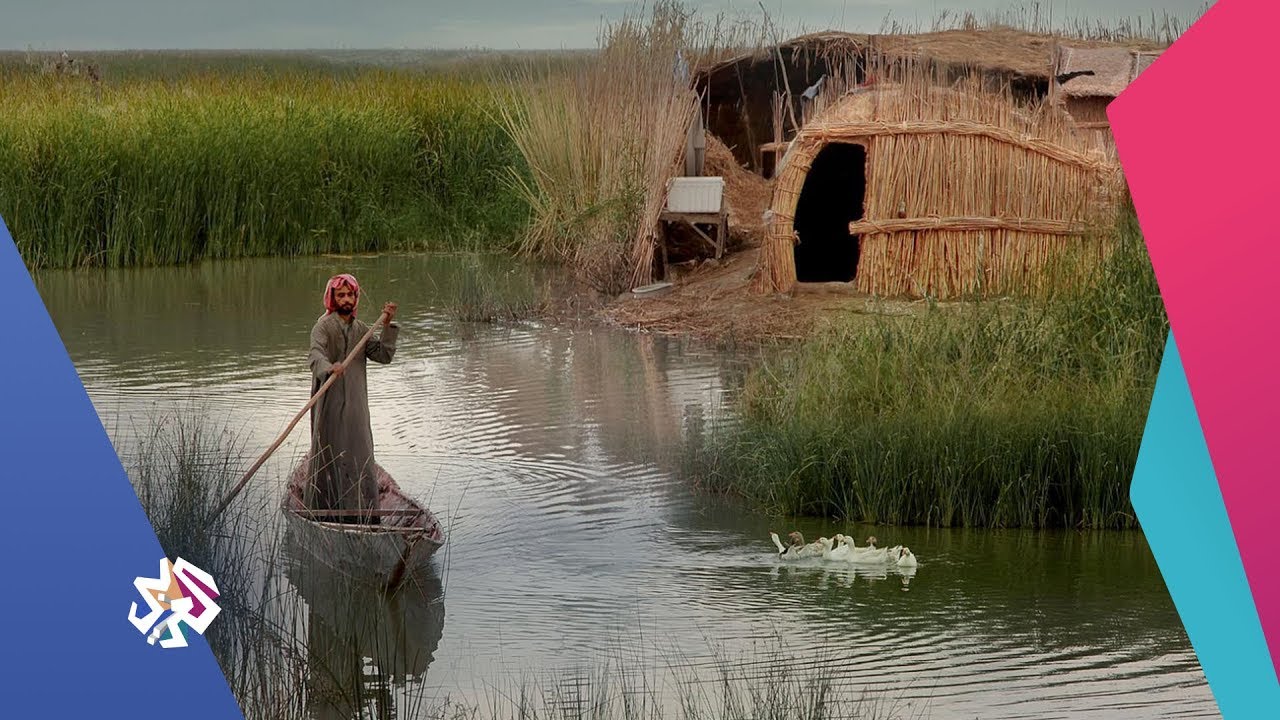 شبابيك│عودة المياه إلى منطقة الأهوار تنشط السياحة في العراق