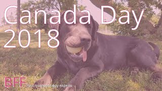 Celebrity BFF Canada Day 2018 Profile