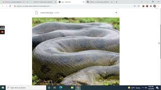 End to End Image Classification of Python and Anacondas deployment with Streamlit to render cloud