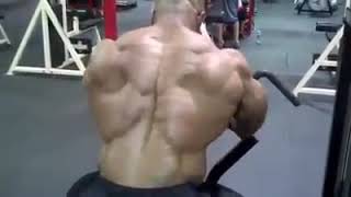 David Henry 'The Giant Killer' Trains Back