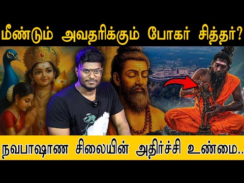 மீண்டும் அவதரிக்கும் போகர் சித்தர்? | நவபாஷாண சிலையின் அதிர்ச்சி உண்மை | Boghar | Don't Miss
