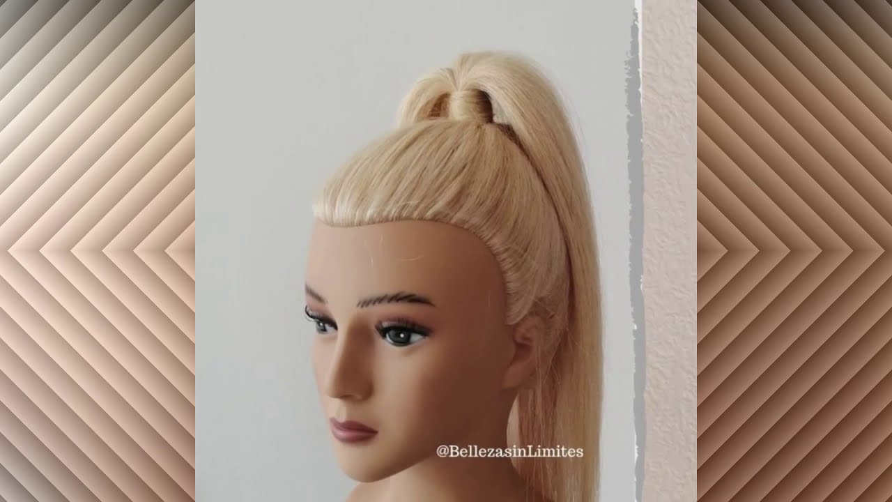 Cola Alta Elegante 💞Lazos de Amor