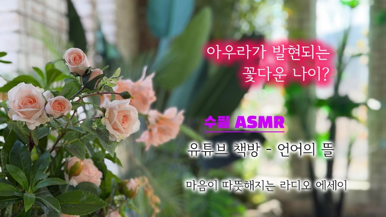 아우라가 발현되는 꽃다운 나이? l 수필 ASMR l 유튜브 책방 언어의 뜰 l 생상스 백조