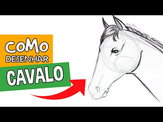 How-To-Draw-Horses  Drawing lessons, Cavalo desenho, Cavalos