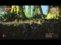 The witcher 2 1080p gameplay