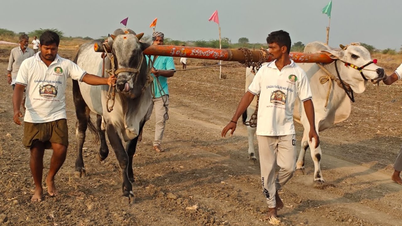 తలపనూరు 6పల్లలో,15వ జత,శివారెడ్డి గారు,లక్షుంపల్లె
