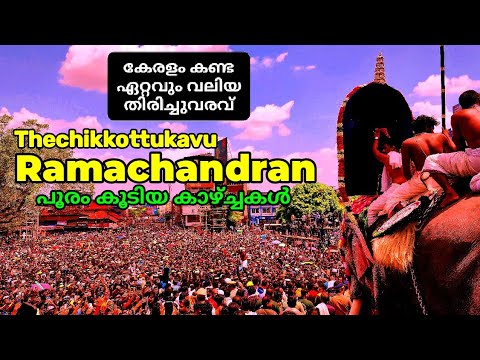 രാമൻ 18 വർഷങ്ങൾക്കുശേഷം പൂരത്തിന് എത്തിയപ്പോൾ | Thechikkottukavu Ramachandran @ Thrissur pooram 2023