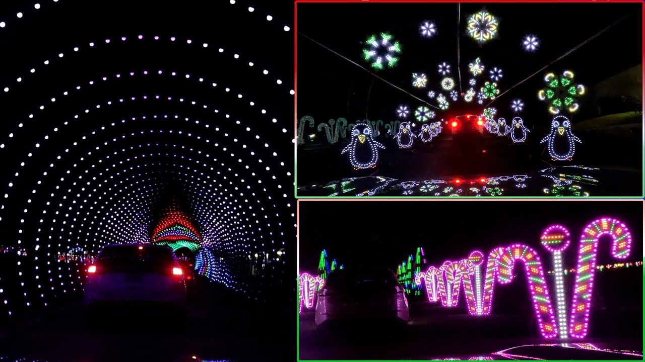 Live Shows In San Antonio Tonight Live Shows In San Antonio Tonight