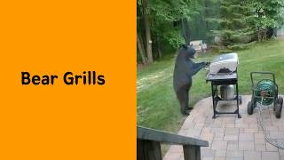 50 Dramatic Pets Who Need An Oscar