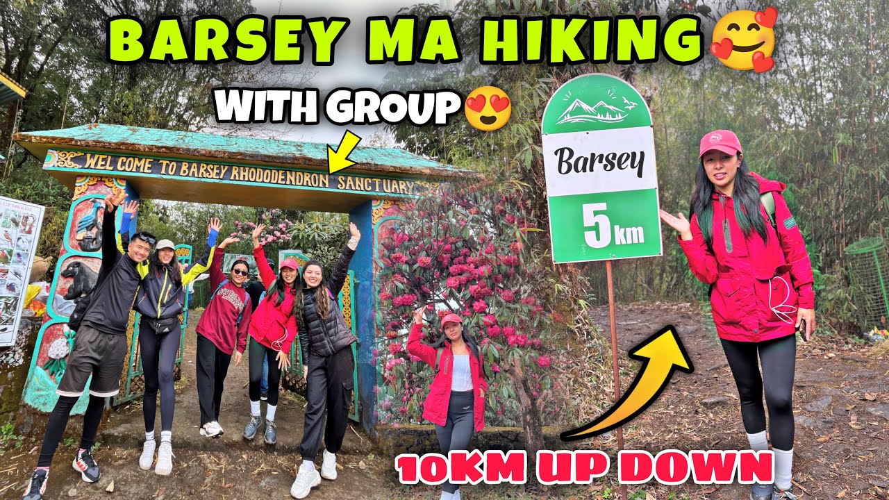 SIKKIM KO VIRAL-PLACE BARSEY🌺||GROUP TOUR🥰||10KM HIKING CAMPING⛺️GARDAI