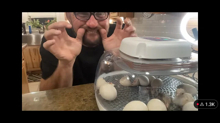 Gifts and Goodies:  after dark