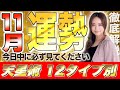 【星ひとみ】11月の運勢を徹底解説!天星術占い12タイプ別!