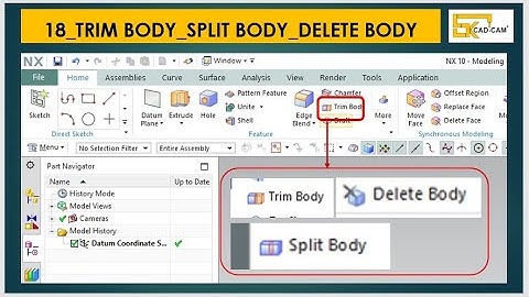 18_USING _TRIM BODY SPLIT BODY DELETE BODY_NX 10