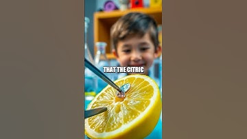 The Secrets of the Lemon Battery