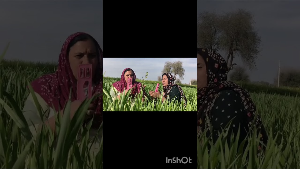 श्याम तेरी पीली सी धोती लटक रही हीरे मोती 🙏🙏#haryanvi bhajan #shyan bhajan gopi 🤗🤗