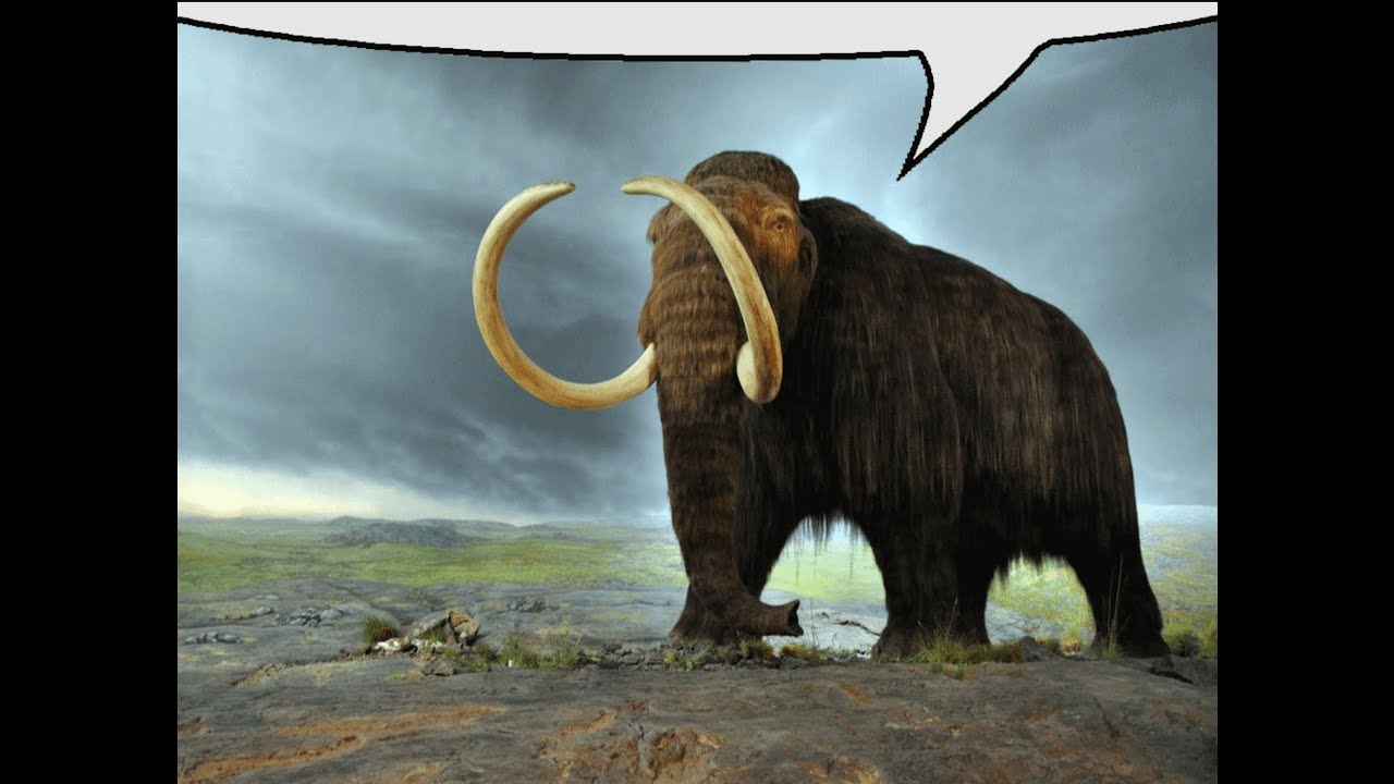 mordex more like lessdex (not rogue lineage)