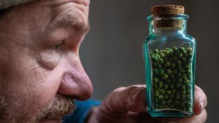 The Spice Of Empires