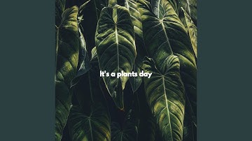 Background for Brave Keynotes