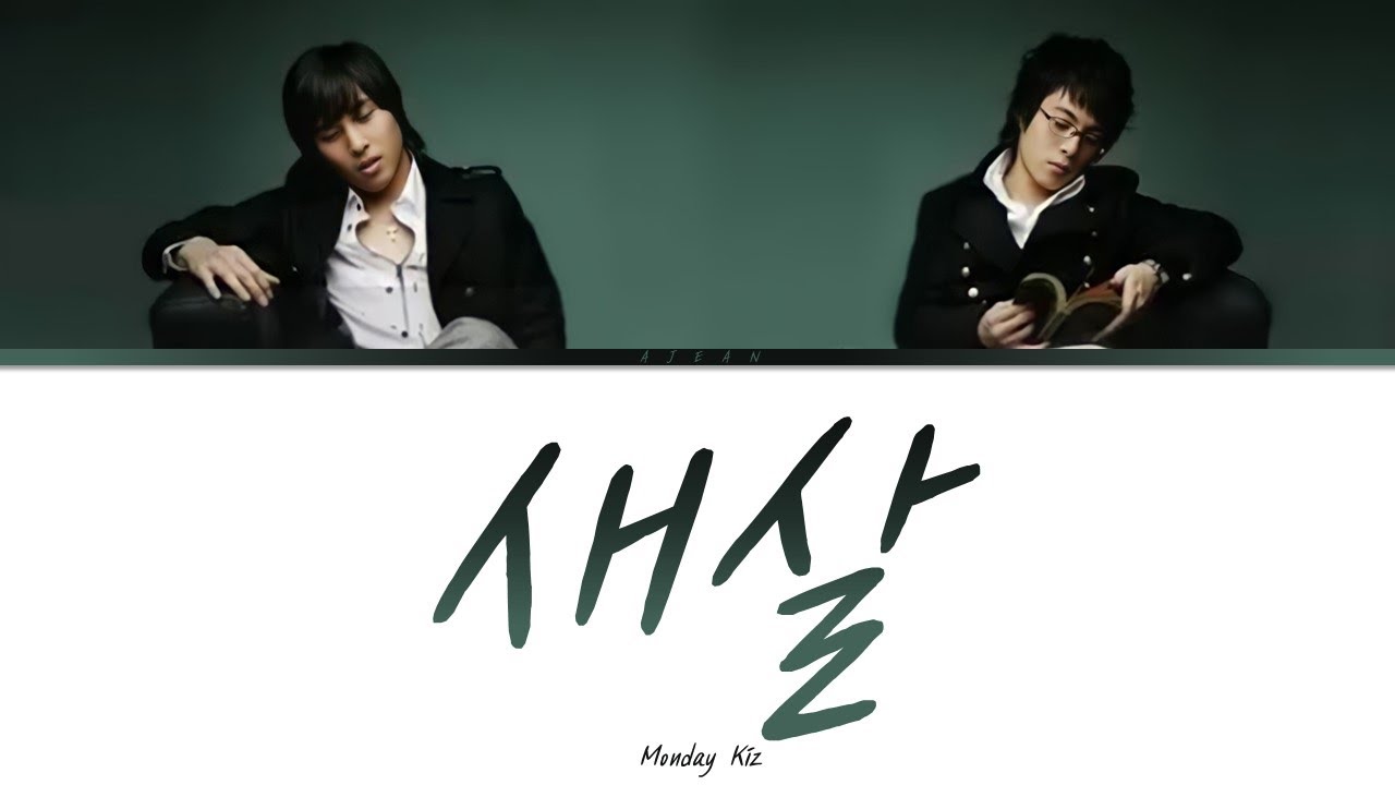 먼데이키즈 - 새살 가사 / Monday Kiz - New skin Lyrics