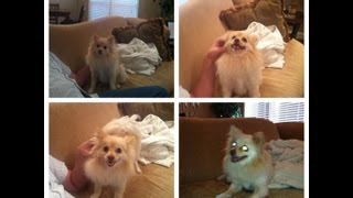 FOXY'S SPA DAY!!! - LifeWithStaceyD