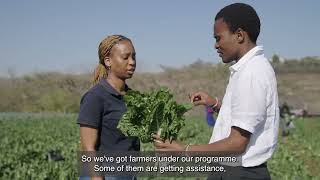 AgriKool | The story behind the small business connecting KwaZulu-Natal farmers with Checkers