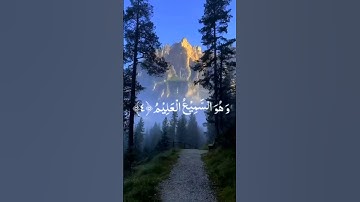سورة الانبياء #راحة نفسية #قران كريم #ياسر الدوسرى