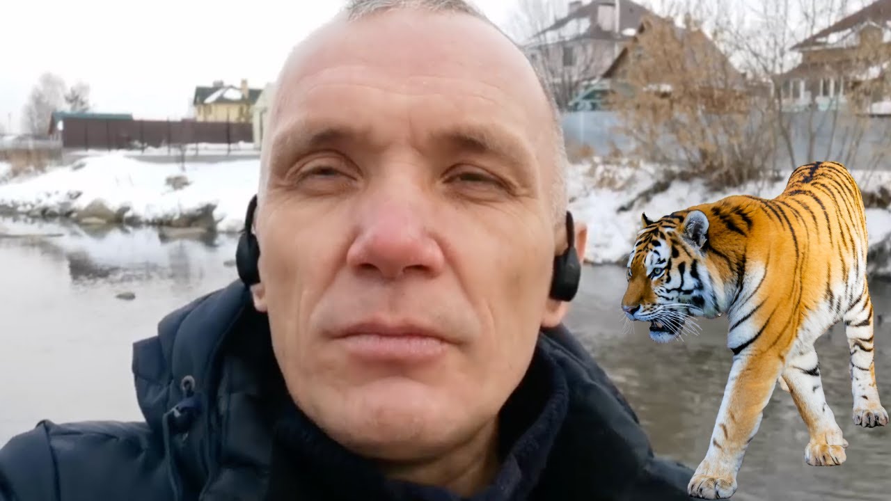 Я ПРОБУДИЛ ВНУТРЕННЕГО ТИГРА / ОТЗЫВ ЕВГЕНИЯ - YouTube