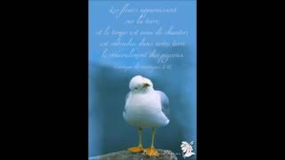 Double Message screenshot 3