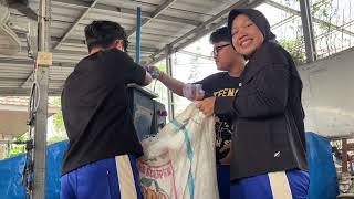 Program Pengabdian Masyarakat — Kelas XI B-3 | Kelompok 1: Bank Sampah