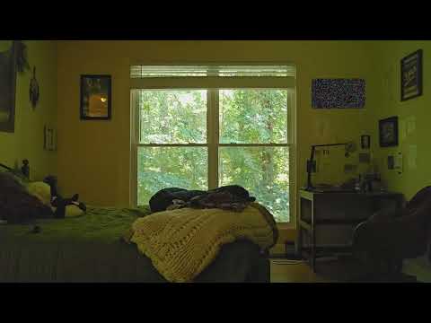 summer day in my life | novelist and literature student