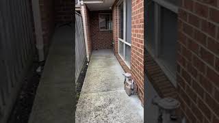 14/235 Scoresby Road, Boronia
