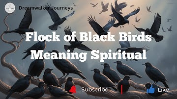 The Shocking TRUTH About Black Birds in Spiritual Communities