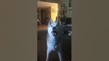 Always Brings Tears To My To My Eye Now That He S Gone 