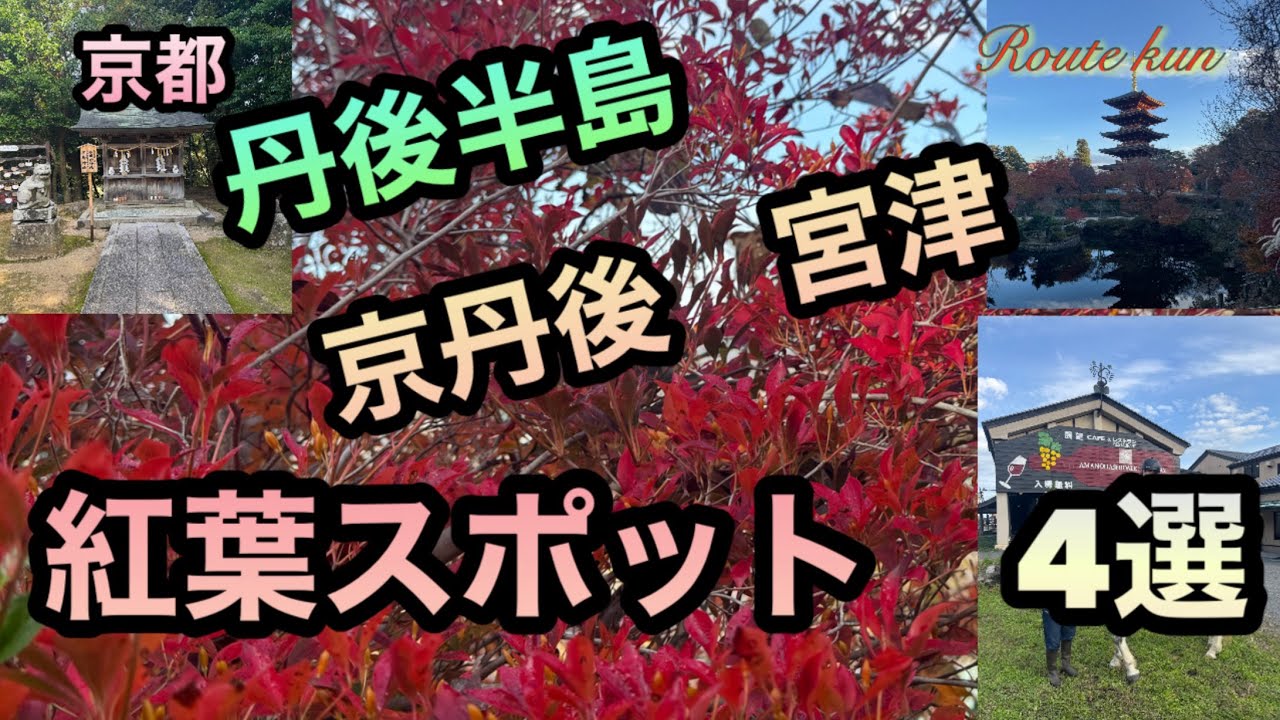 【キャンピングカー】京都の隠れ紅葉スポット　絶景スポット紹介します