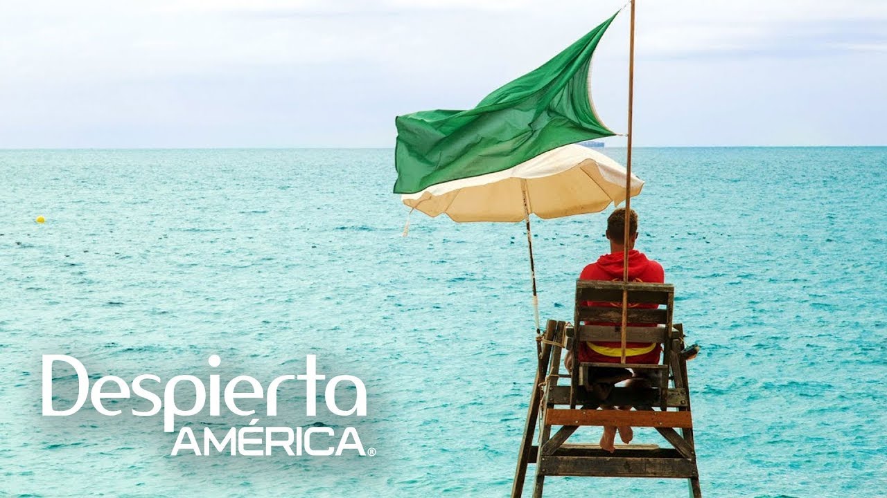 justiciar Alerta: los peligros más frecuentes en la playa y el mar | Dr. Juan