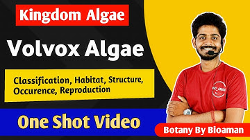 Chlorophyceae : Volvox Algae in Hindi | Classification, Habitat, Structure, Occurence, Reproduction