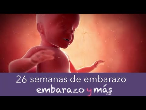 26 semanas de embarazo peso del bebe