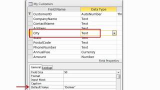 Famous Access 2010 - Field Properties Profile