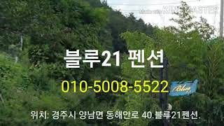 경주,울산 여름여행 블루21펜션