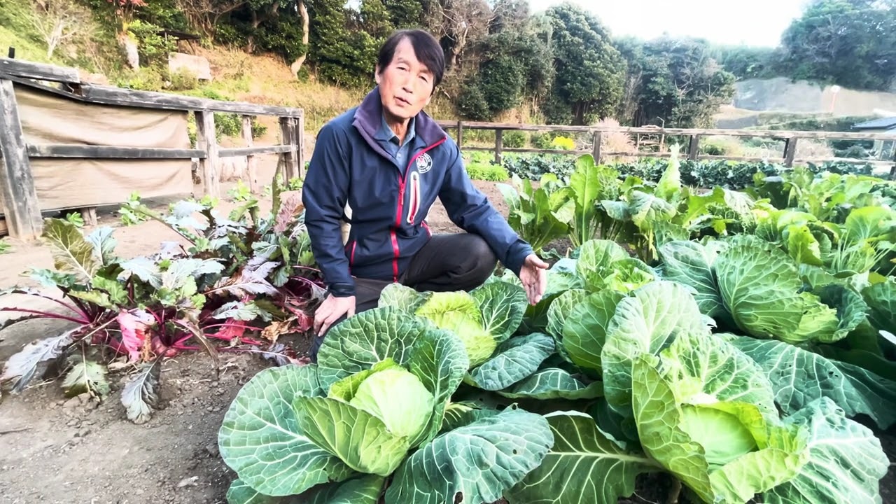 家庭菜園で元気いっぱいの無農薬野菜が育まれる理由のひとつを解説します。本当はシンプルなんです(再)